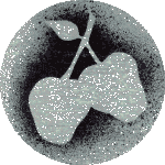 First LP - Front Cover